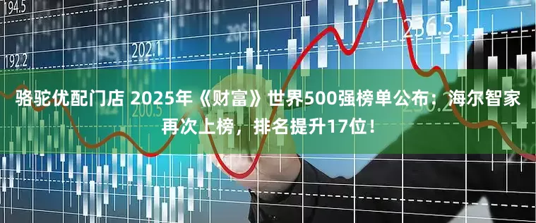 骆驼优配门店 2025年《财富》世界500强榜单公布：海尔智家再次上榜，排名提升17位！